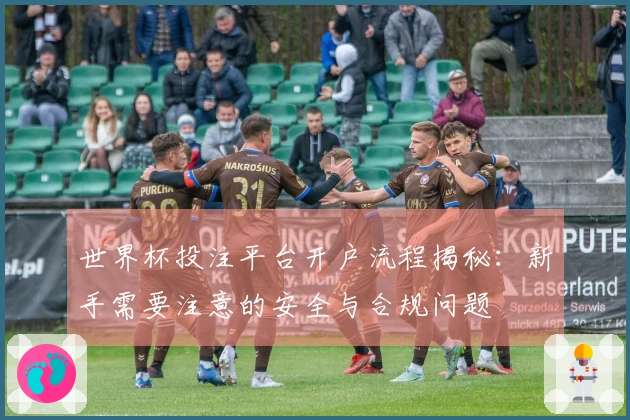 世界杯投注平台开户流程揭秘：新手需要注意的安全与合规问题