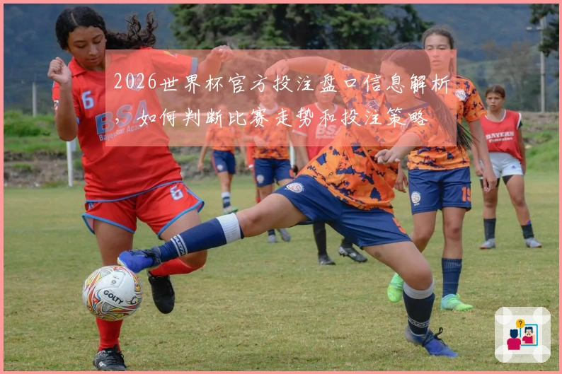 2026世界杯官方投注盘口信息解析，如何判断比赛走势和投注策略