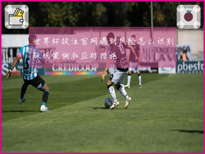 世界杯投注官网遇到风险怎么识别踩坑案例和应对措施