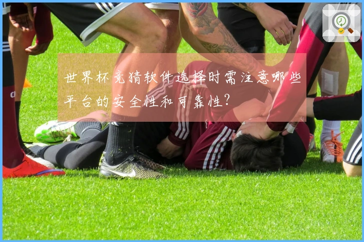 世界杯竞猜软件选择时需注意哪些平台的安全性和可靠性？