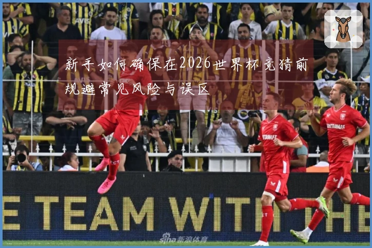 新手如何确保在2026世界杯竞猜前规避常见风险与误区