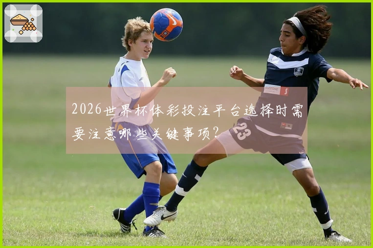 2026世界杯体彩投注平台选择时需要注意哪些关键事项？